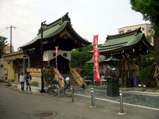 �Ԍ������猎�������̂���