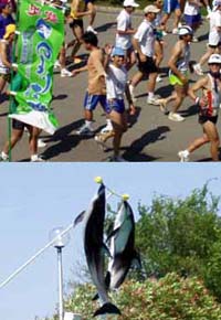 �����ǂr�Ƃ��邩