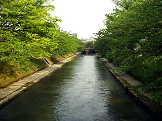 �Ԍ������猎�������̂���